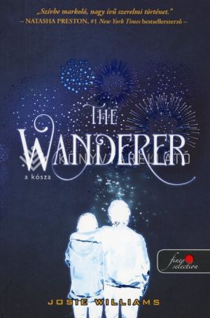 Kép: The Wanderer - A kósza