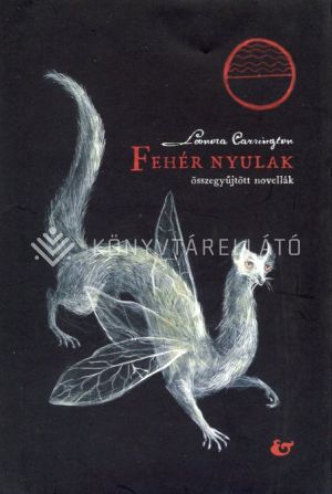 Kép: Fehér nyulak