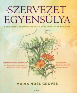 Kép: A szervezet egyensúlya