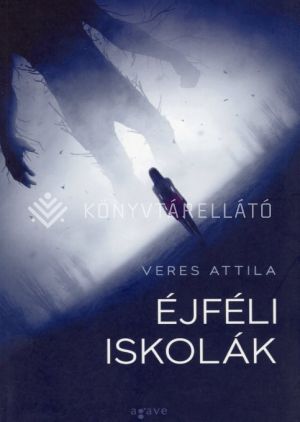 Kép: Éjféli iskolák