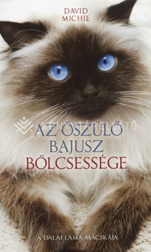 Kép: Az őszülő bajusz bölcsessége