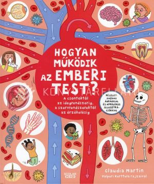 Kép: Hogyan működik az emberi test? - A csontoktól az idegrendszerig, a szervrendszerektől az érzékelésig