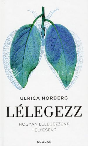 Kép: Lélegezz - Hogyan lélegezzünk helyesen?