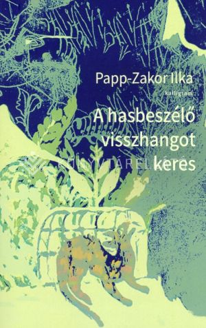 Kép: A hasbeszélő visszhangot keres