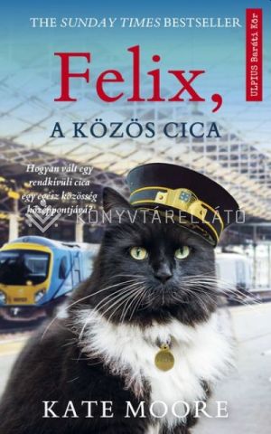 Kép: Felix, a közös cica