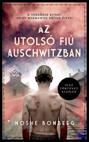 Kép: Az utolsó fiú Auschwitzban