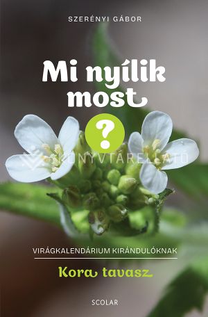 Kép: Mi nyílik most? - Kora tavasz