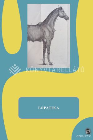 Kép: Lópatika