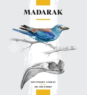 Kép: Madarak