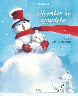 Kép: Hóember úr ajándéka