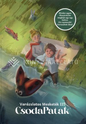 Kép: Varázslatos Mesketék II. - CsodaPatak
