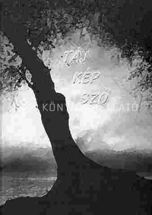 Kép: Táj - kép - szó
