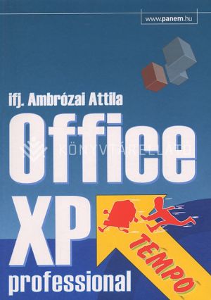 Kép: Office xp professional