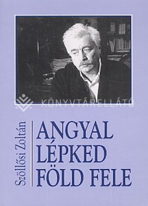 Kép: Angyal lépked föld felett