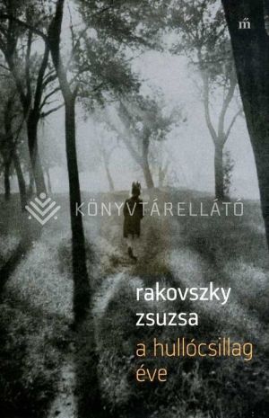 Kép: A hullócsillag éve
