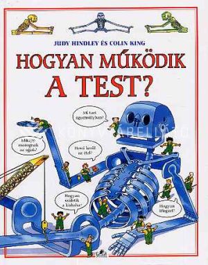Kép: Hogyan működik a test?