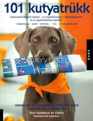 Kép: 101 kutyatrükk