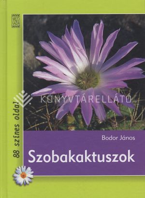 Kép: Szobakaktuszok