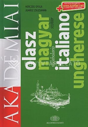 Kép: Olasz-magyar szótár +net