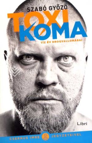 Kép: Toxikoma - Tíz év drogvallomásai
