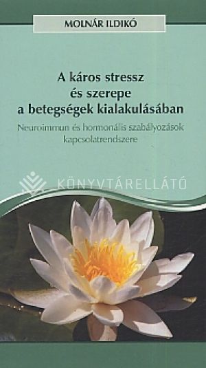 Kép: A káros stressz és szerepe a betegségek kialakulásában