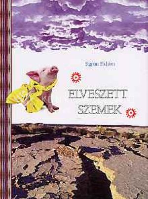 Kép: Elveszett szemek