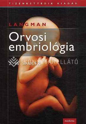Kép: Orvosi embriológia