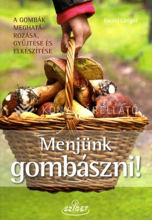 Kép: Menjünk gombászni