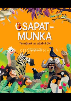 Kép: Csapatmunka