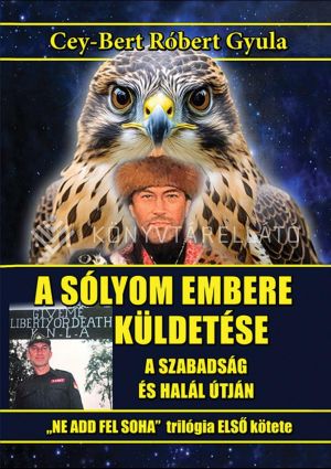 Kép: A sólyomember küldetése