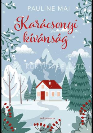 Kép: Karácsonyi kívánság (élfestett)