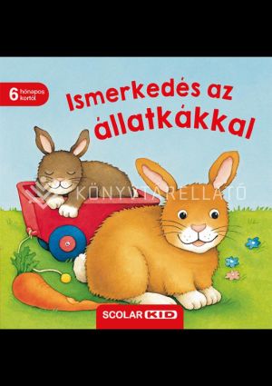 Kép: Ismerkedés az állatkákkal