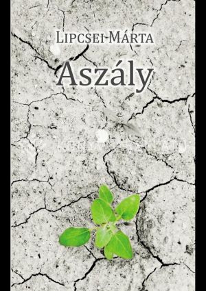 Kép: Aszály