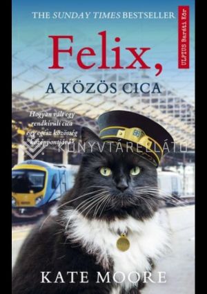 Kép: Felix, a közös cica