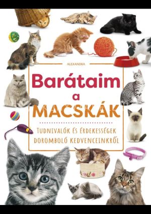 Kép: Barátaim, a macskák