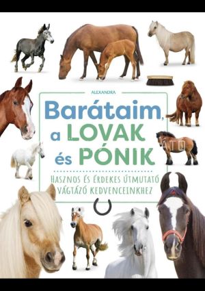 Kép: Barátaim, a lovak és pónik