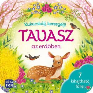 Kép: Kukucskálj, keresgélj! - Tavasz az erdőben - 7 kihajtható füllel - pop-up nélkül átalakítva - lapozó