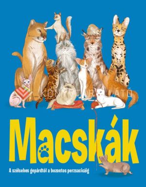 Kép: Macskák- A szélsebes gepárdtól a bozontos perzsacicáig