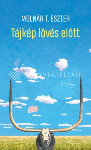 Kép: Tájkép lövés előtt