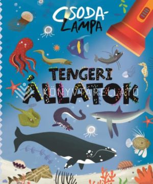 Kép: Csodalámpa - Tengeri állatok