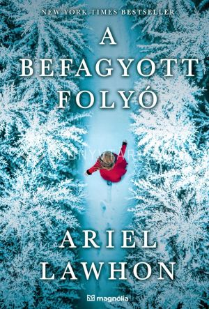 Kép: A befagyott folyó