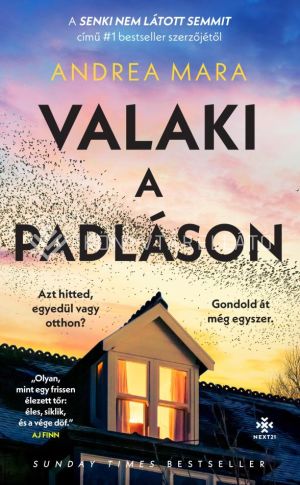 Kép: Valaki a padláson
