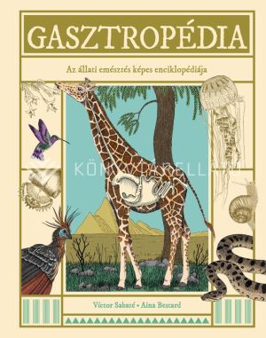 Kép: Gasztropédia