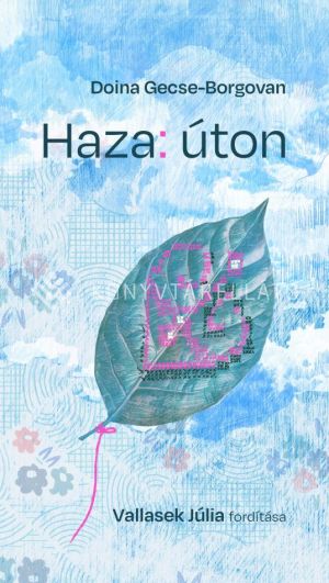 Kép: Haza: úton