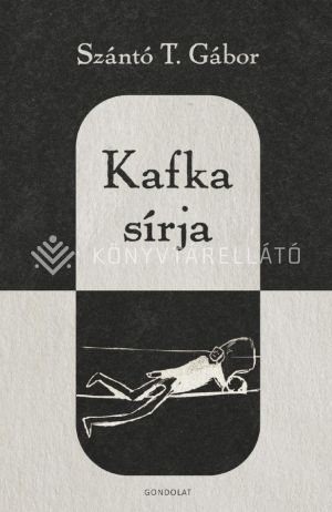 Kép: Kafka sírja