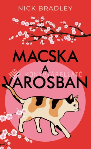 Kép: Macska a városban