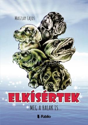 Kép: Elkísértek