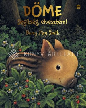 Kép: Döme - Segítség, elvesztem!