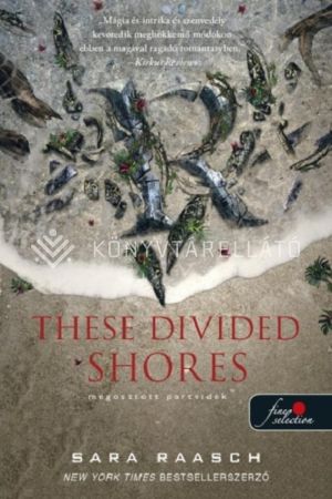 Kép: These Divided Shores – Megosztott partvidék