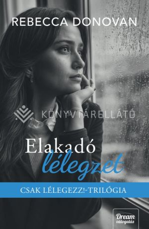 Kép: Elakadó lélegzet (élfestett)